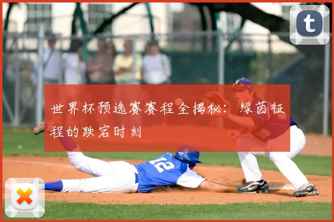 世界杯预选赛赛程全揭秘:绿茵征程的跌宕时刻