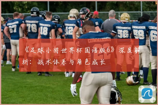 《足球小将世界杯国语版6》深度解析:战术体系与角色成长