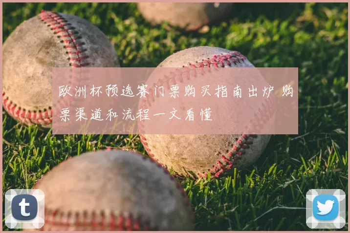 欧洲杯预选赛门票购买指南出炉 购票渠道和流程一文看懂