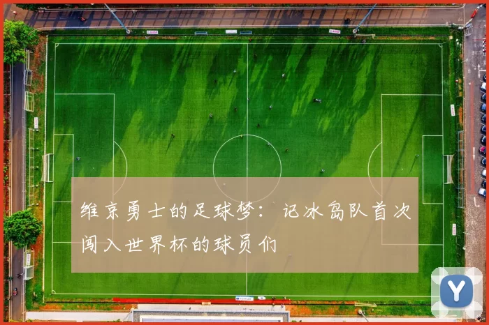 维京勇士的足球梦：记冰岛队首次闯入世界杯的球员们