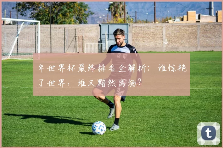 年世界杯最终排名全解析：谁惊艳了世界，谁又黯然离场？