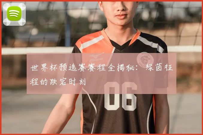 世界杯预选赛赛程全揭秘:绿茵征程的跌宕时刻