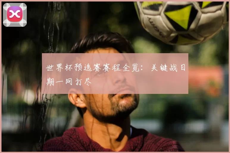 世界杯预选赛赛程全览:关键战日期一网打尽